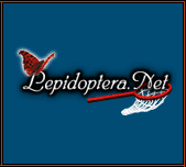 Lepidoptera.Net